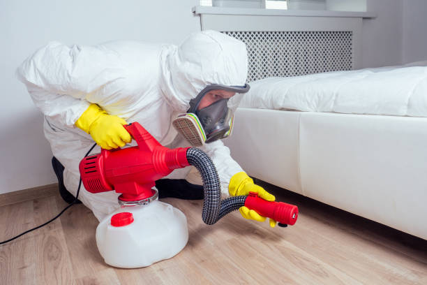 Best Flea Control Services  in North River Shores, FL