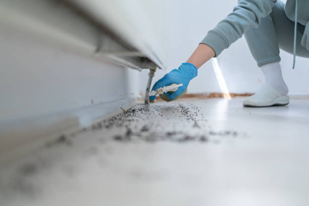 Best Affordable Pest Control Services  in North River Shores, FL